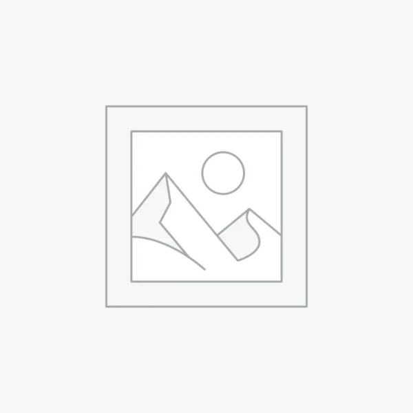 woocommerce-placeholder Pashmina shawls with silk embroidery